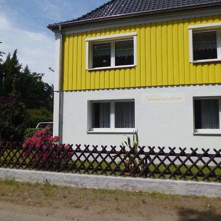 Ferienwohnung Im Haus Sonnenschein Beim Senftenberger See Hosena Exteriör bild