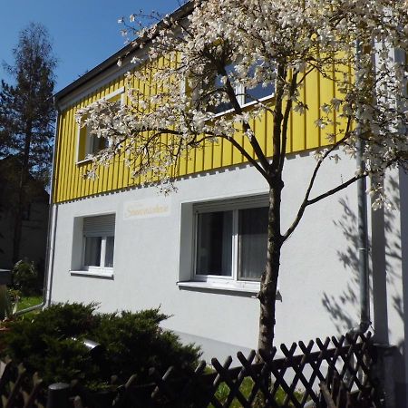 Ferienwohnung Im Haus Sonnenschein Beim Senftenberger See Hosena Exteriör bild