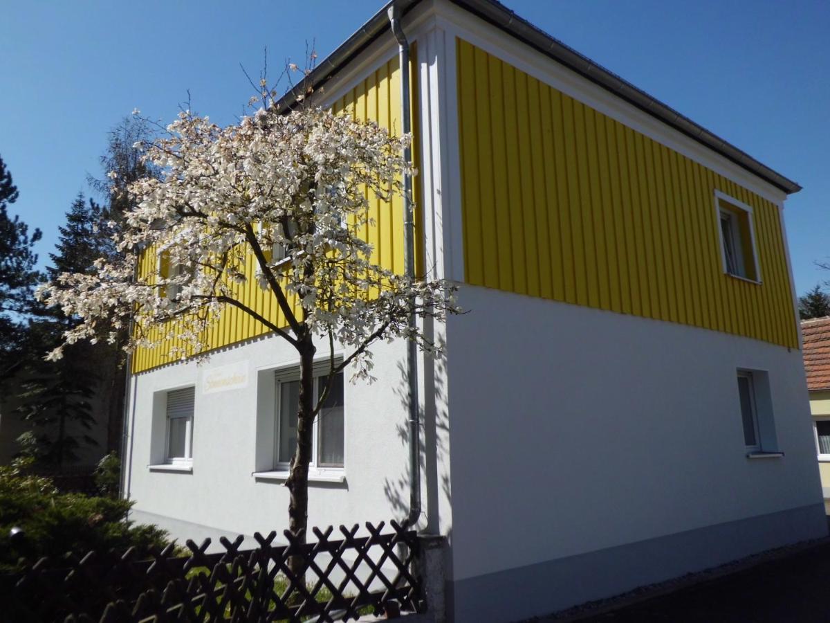 Ferienwohnung Im Haus Sonnenschein Beim Senftenberger See Hosena Exteriör bild